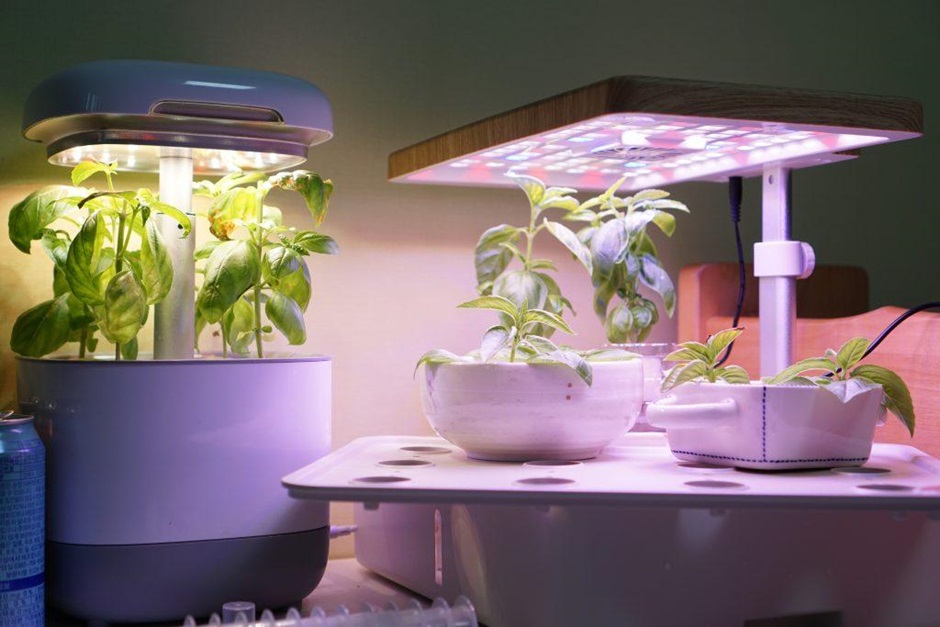 How to Choose the Right Hydroponic System