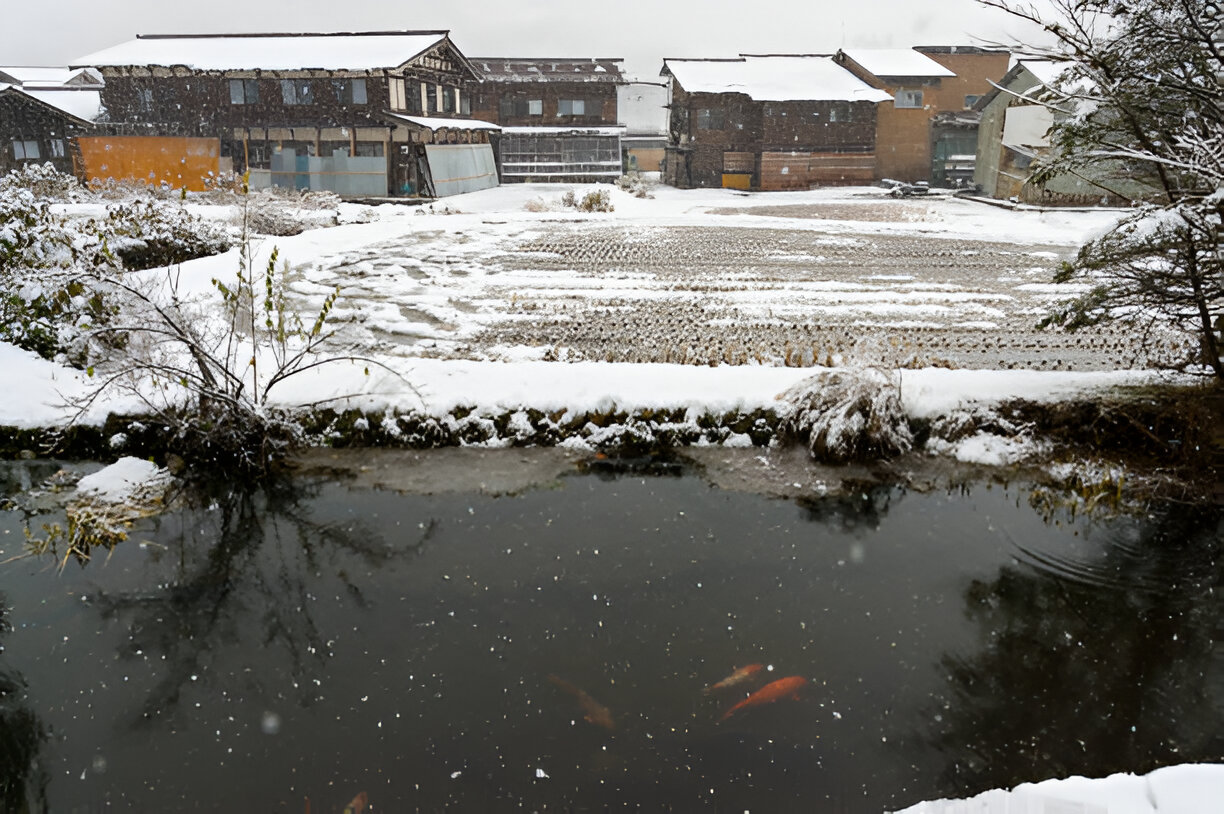 Pond pump