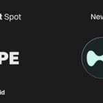 How to Successfully Purchase Hyperliquid Using Bitget Platform